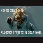 Tornadoes and flooding and tigers…oh, my!