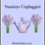 Sundays Unplugged