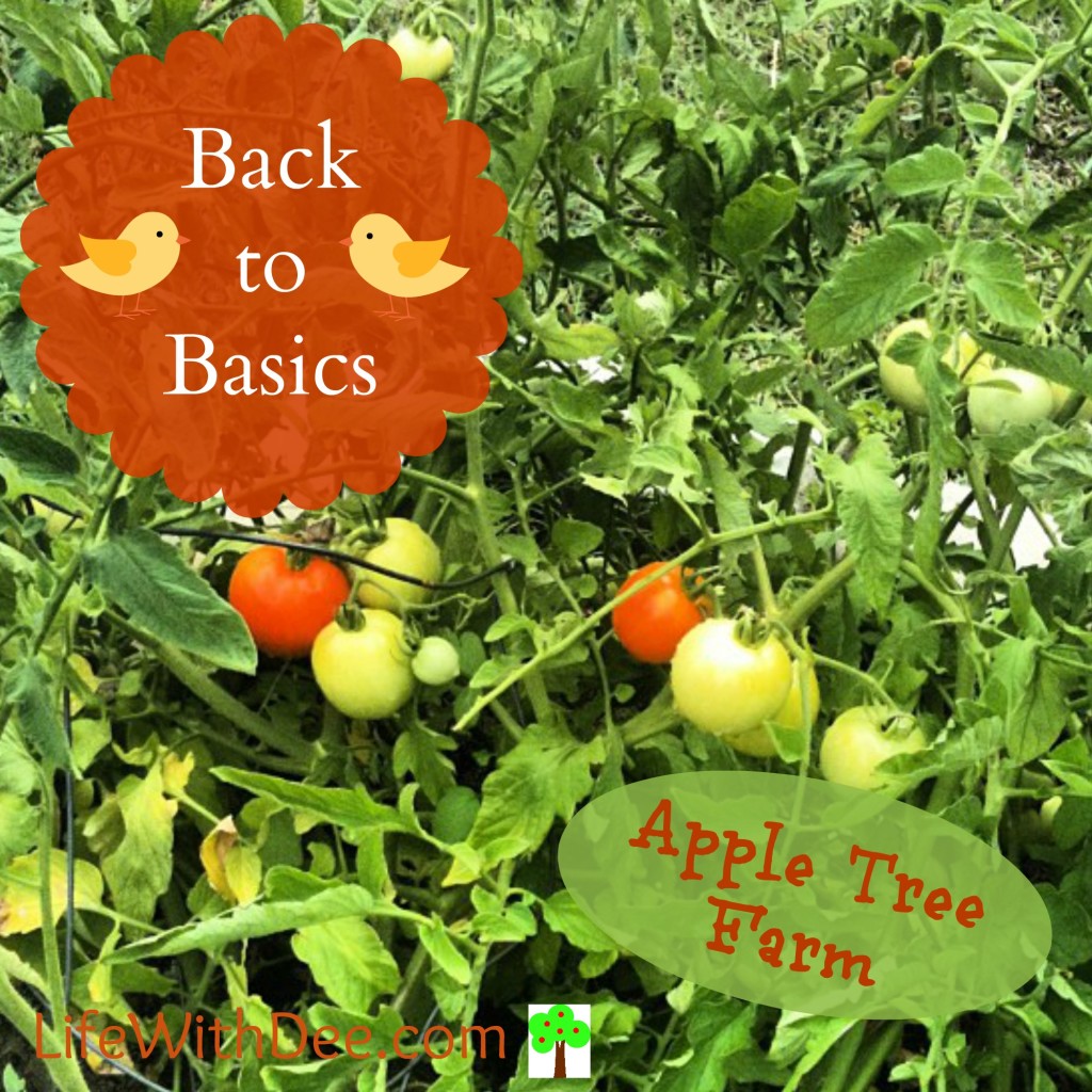 Back to Basics on Apple Tree Farm