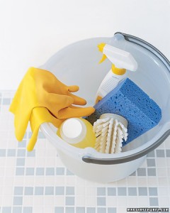 Martha Stewart Spring Cleaning Checklist