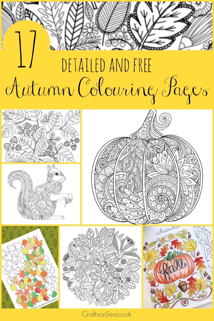 Free-printable-autumn-adult-coloring-pages