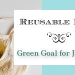 Reusable Bags ~ Green Goal For January