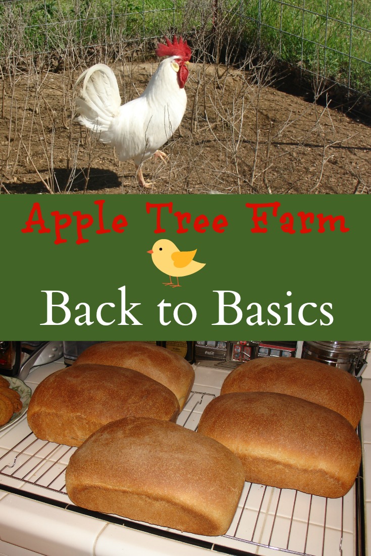 Back to Basics - Apple Tree Farm