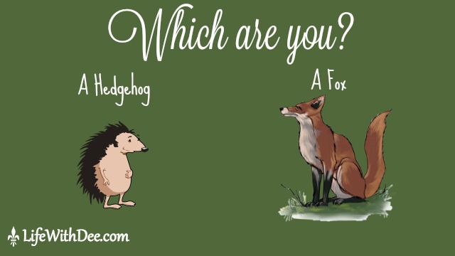 Hedgehog or Fox
