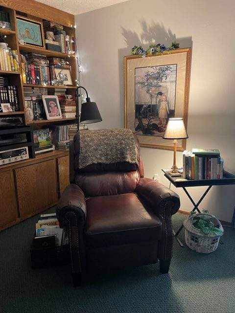 photo of leather recliner and bookshelves