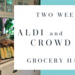 2 Week Aldi + Crowd Cow Grocery Haul