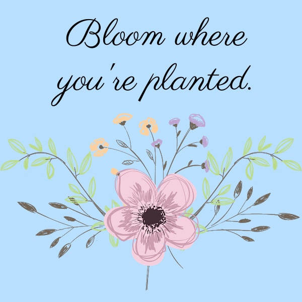 Bloom where you're planted