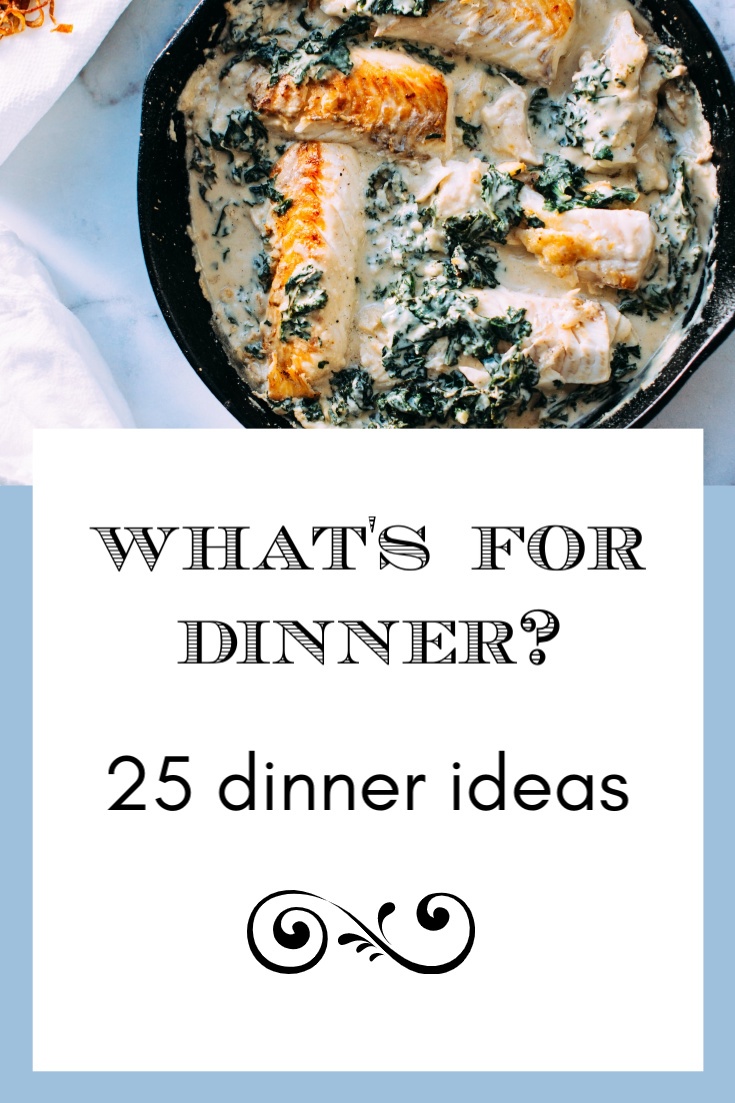 25 dinner ideas